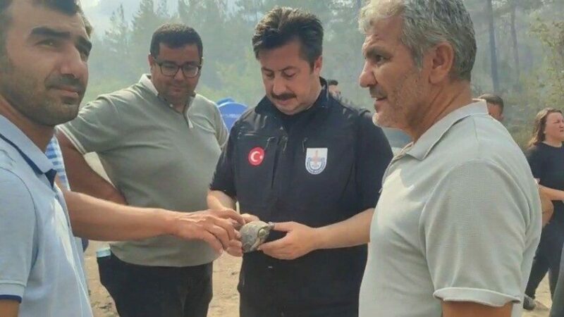 Yenişehir Belediye Başkanı Özel, yangından etkilenen kaplumbağaya suyla müdahale etti Bursa’nın Yenişehir ilçesi Kavaklı köyü kırsalında çıkan orman yangını kontrol