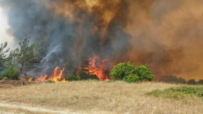 Bursa’da binlerce hektar orman yanmıştı! Yeni karar hazırlığı