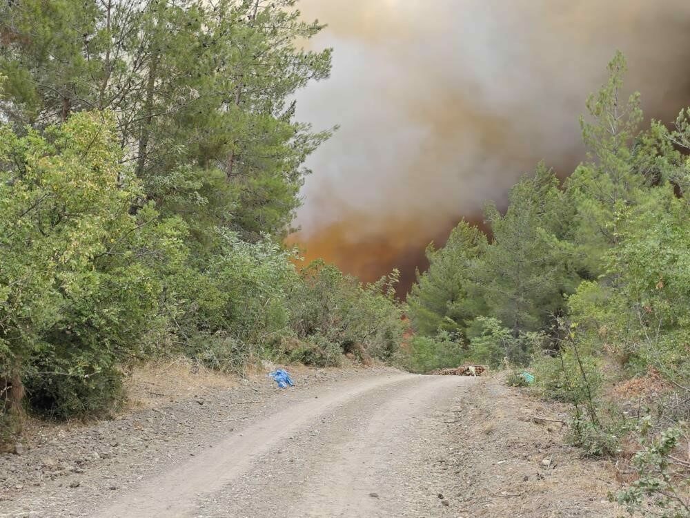 Bursa’nın bu bölgesini yangından koruma planı Bursa’nın bu bölgesini yangından koruma planı