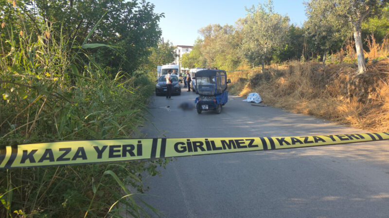 Bursa'nın Orhangazi ilçesinde bir kişi yolda ölü bulundu.
