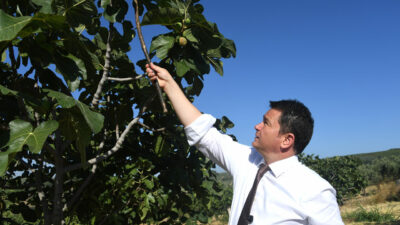 Bursa’dan dünyaya açılan lezzet! Pazar günü festivali var