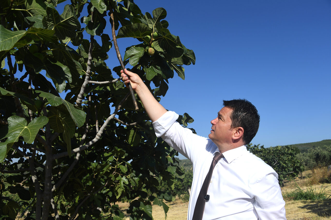 Bursa’dan dünyaya açılan lezzet! Pazar günü festivali var