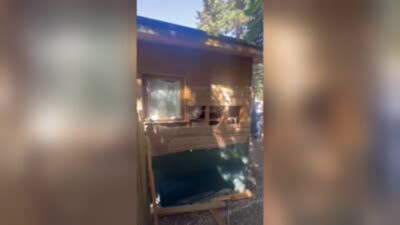 Bursa Uludağ’da ayı barakaya saldırdı