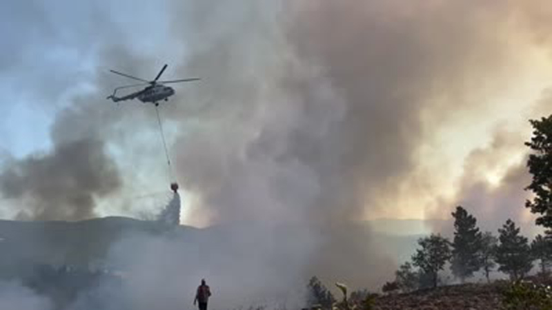 Bursa’da orman yangını