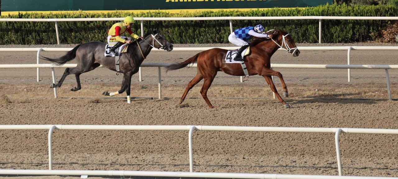 Bursa’da Büyükşehir Başkanlık Koşusu