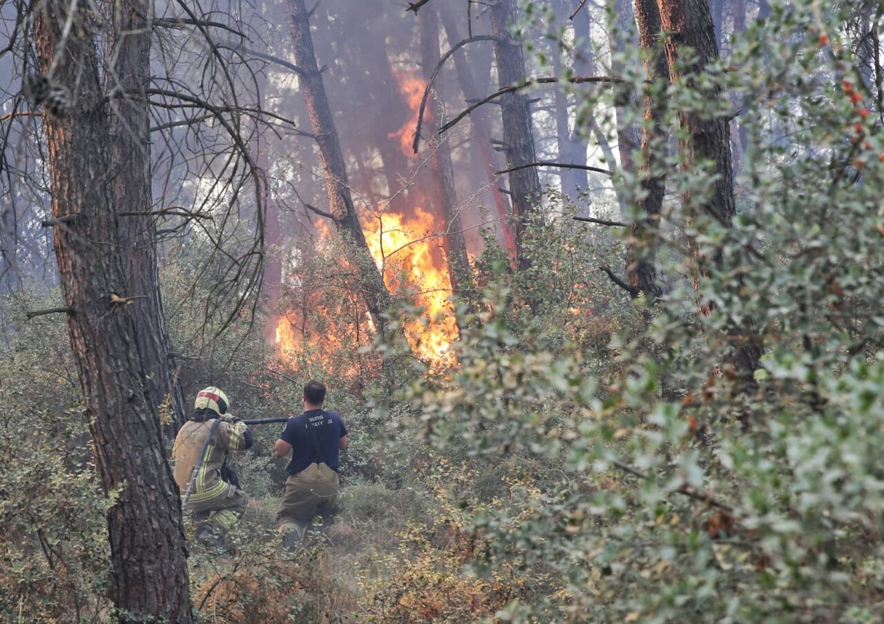 Bursa’da bir ayda kaç yangın çıktı? Bursa’da bir ayda kaç yangın çıktı?