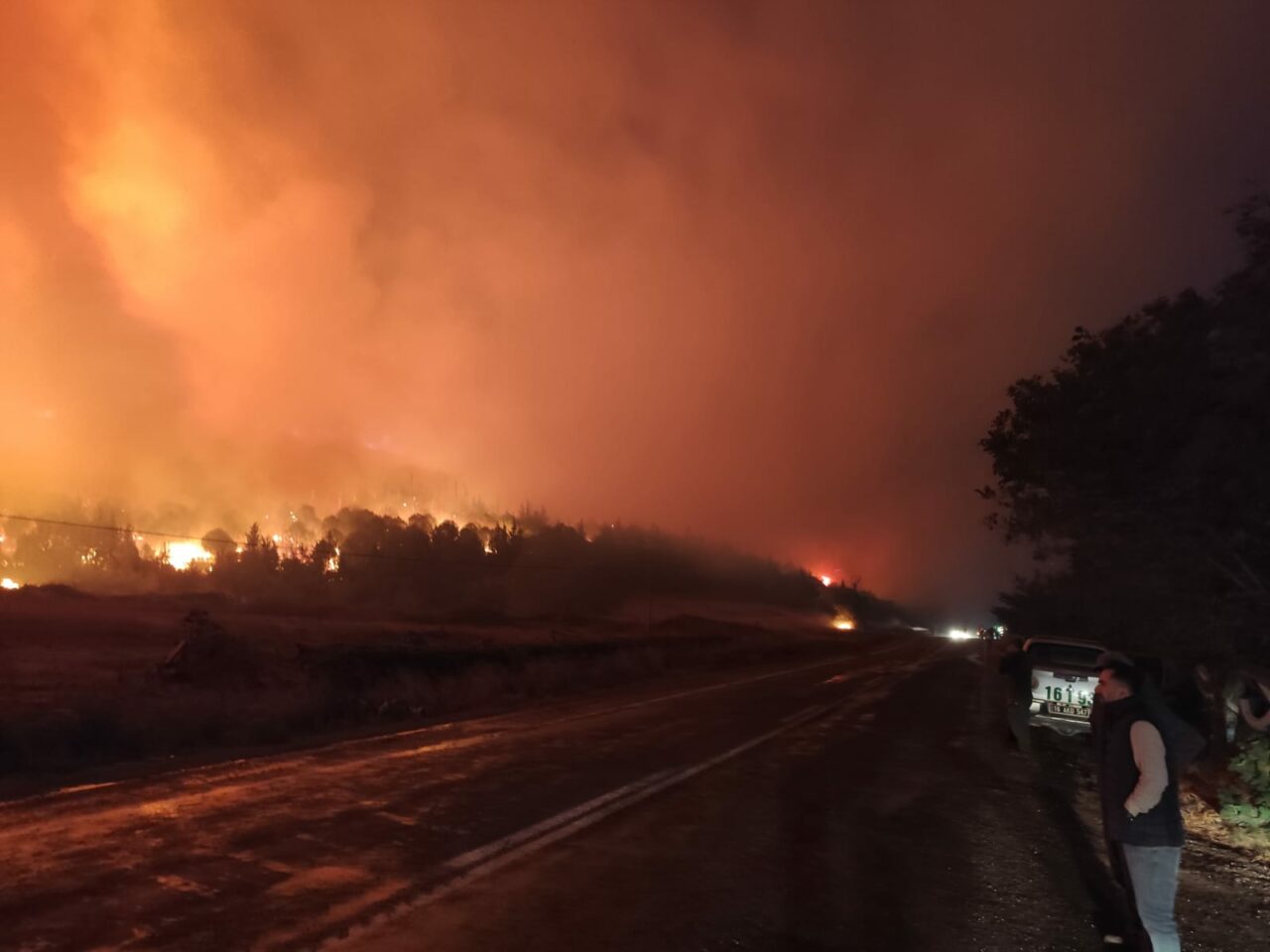 Bursa’da orman yangını! İki köy tehdit altında…
