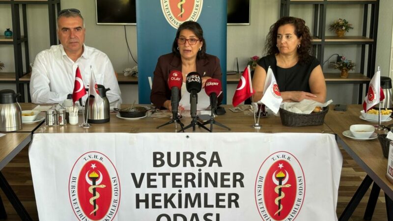 Bursa’da kuduz ve sahipsiz hayvan uyarısı Bursa Veteriner Hekimler Odası, Dünya Kuduz Günü kapsamında sahipsiz hayvanlar