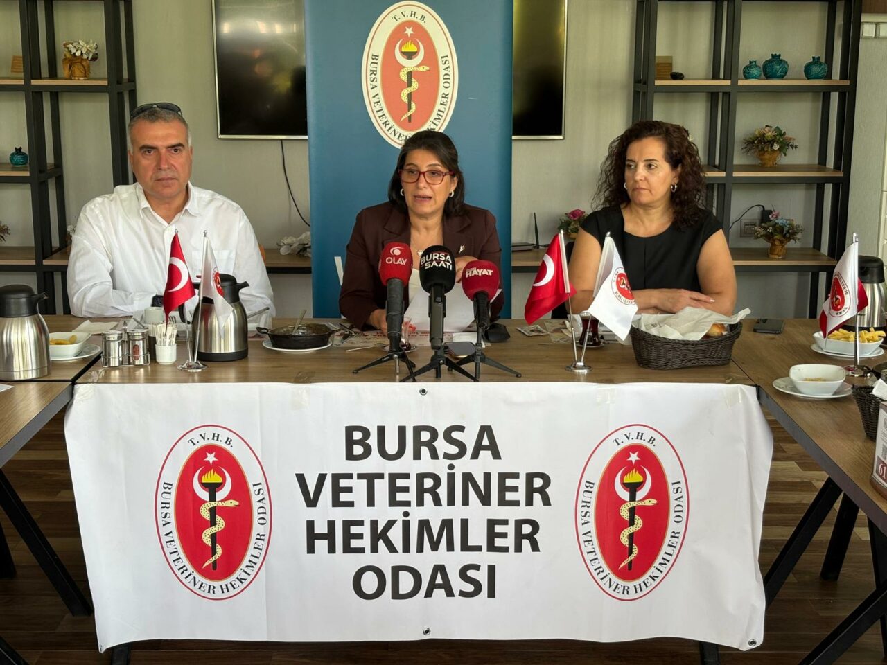 Bursa’da kuduz ve sahipsiz hayvan uyarısı