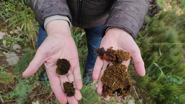 Bursa Uludağ Üniversitesi’nden TÜBİTAK destekli önemli proje Bursa Uludağ Üniversitesi’nden TÜBİTAK destekli önemli proje