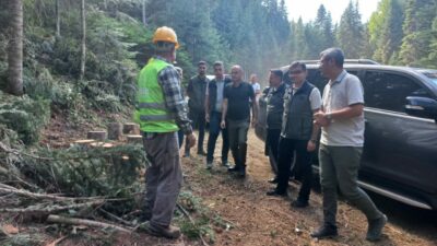 Bursa Orman Bölge Müdürü’nden Bozüyük’te inceleme