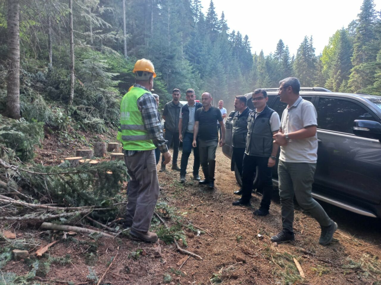 Bursa Orman Bölge Müdürü’nden Bozüyük’te inceleme