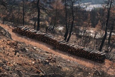 Bursa’nın küle dönen ciğerleri için önemli adım