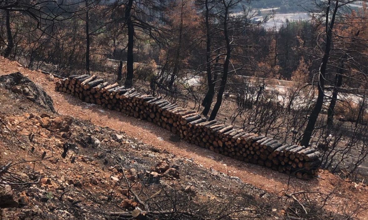Bursa’nın küle dönen ciğerleri için önemli adım Bursa’nın küle dönen ciğerleri için önemli adım