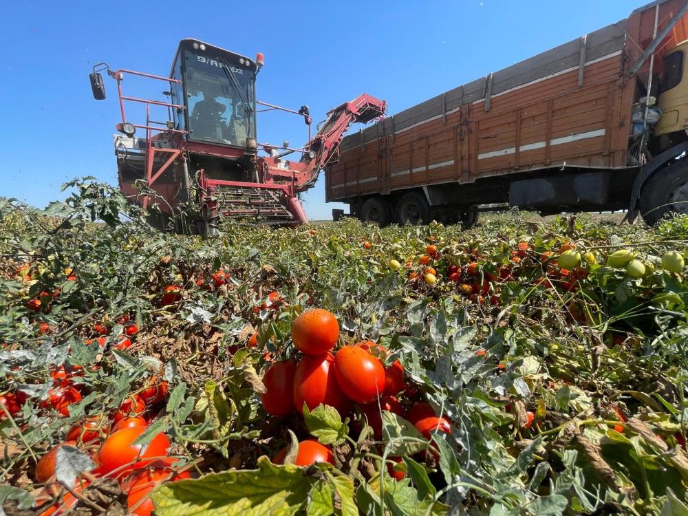 Bursalı çiftçi plansızlıktan zor durumda Bursalı çiftçi plansızlıktan zor durumda