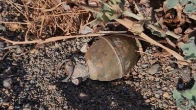 Bursa’da el bombası bulundu!