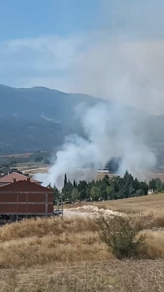 Bursa’da panik yaratan yangın!