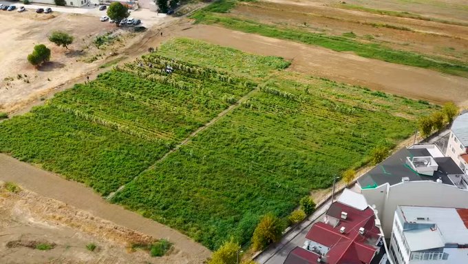 Bursa Osmangazi Belediyesi’nden ‘ata tohumu’ adımı