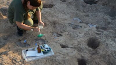 ‘7 bin yıllık adımlar’ yeniden gün yüzüne çıktı