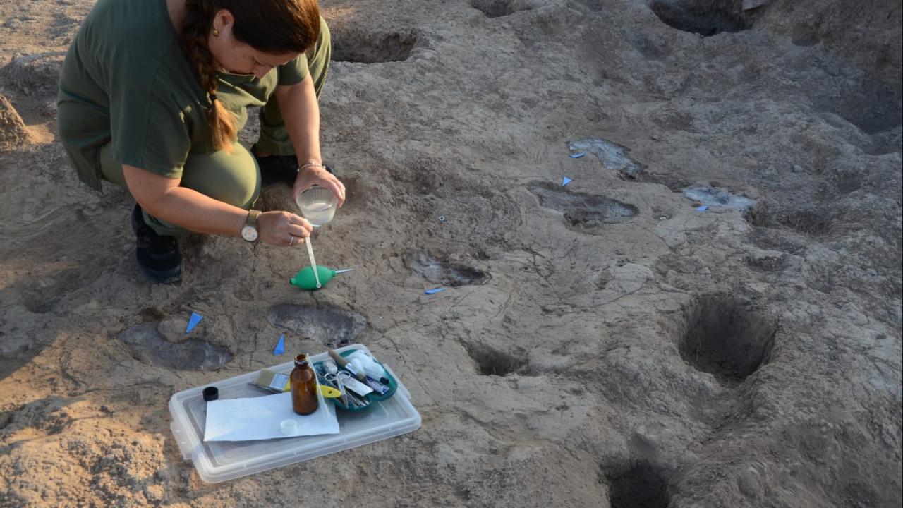 ‘7 bin yıllık adımlar’ yeniden gün yüzüne çıktı