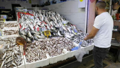Balık tezgâhları şenlendi! İşte fiyatlar…