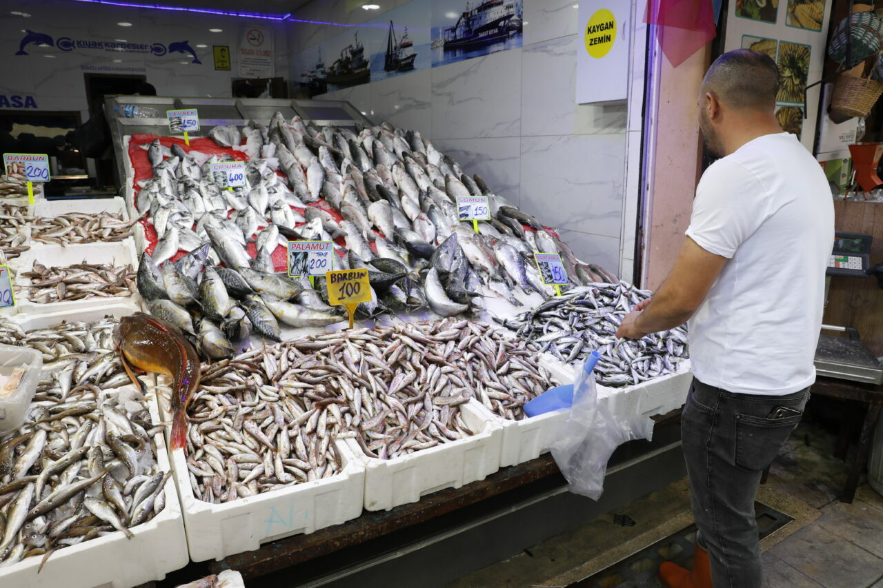 Balık tezgâhları şenlendi! İşte fiyatlar…