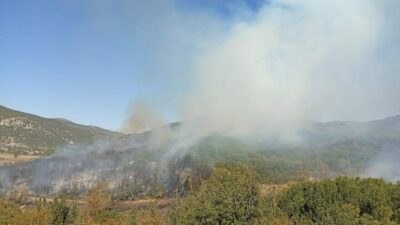 Burdur’da orman yangını