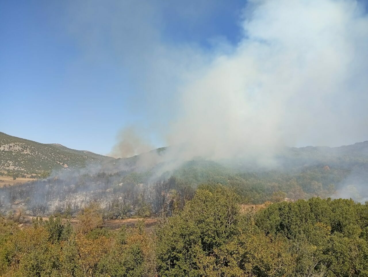 Burdur’da orman yangını Burdur’da orman yangını