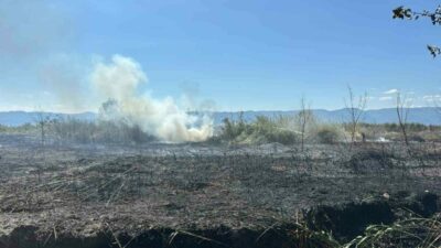 Bursa İznik’te 100 dönüm alan küle döndü