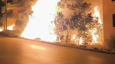 Bursa’da alev alan ağaçlar villaları böyle tehdit etti