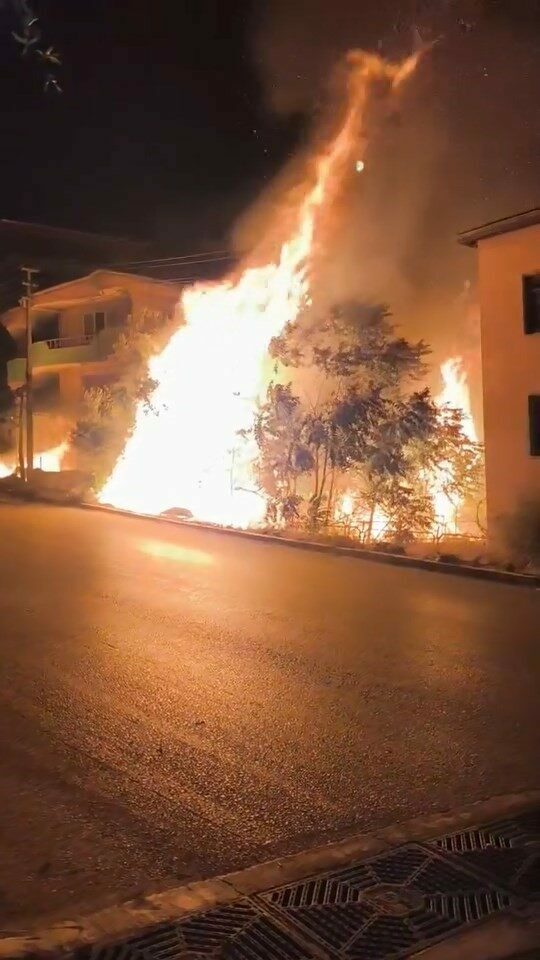 Bursa’da alev alan ağaçlar villaları böyle tehdit etti