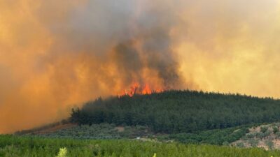 Bursa’daki orman yangını hakkında bir açıklama daha