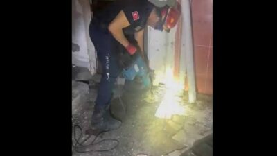 Bursa’da kedi kurtarma operasyonu