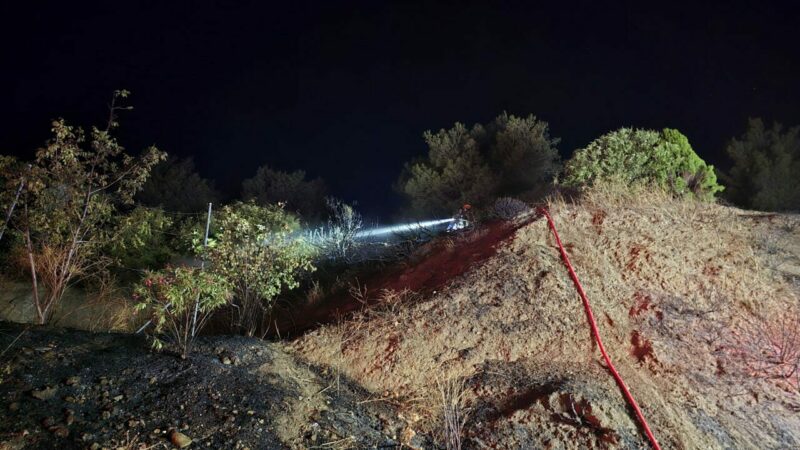 Bursa’nın Mudanya ilçesinde gece saatlerinde çıkan anız yangını ekiplerin müdahalesiyle
