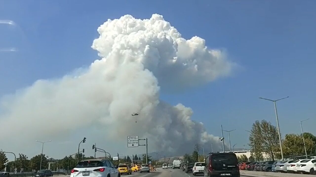Bursa’da orman yangınıyla ilgili yeni gelişme!