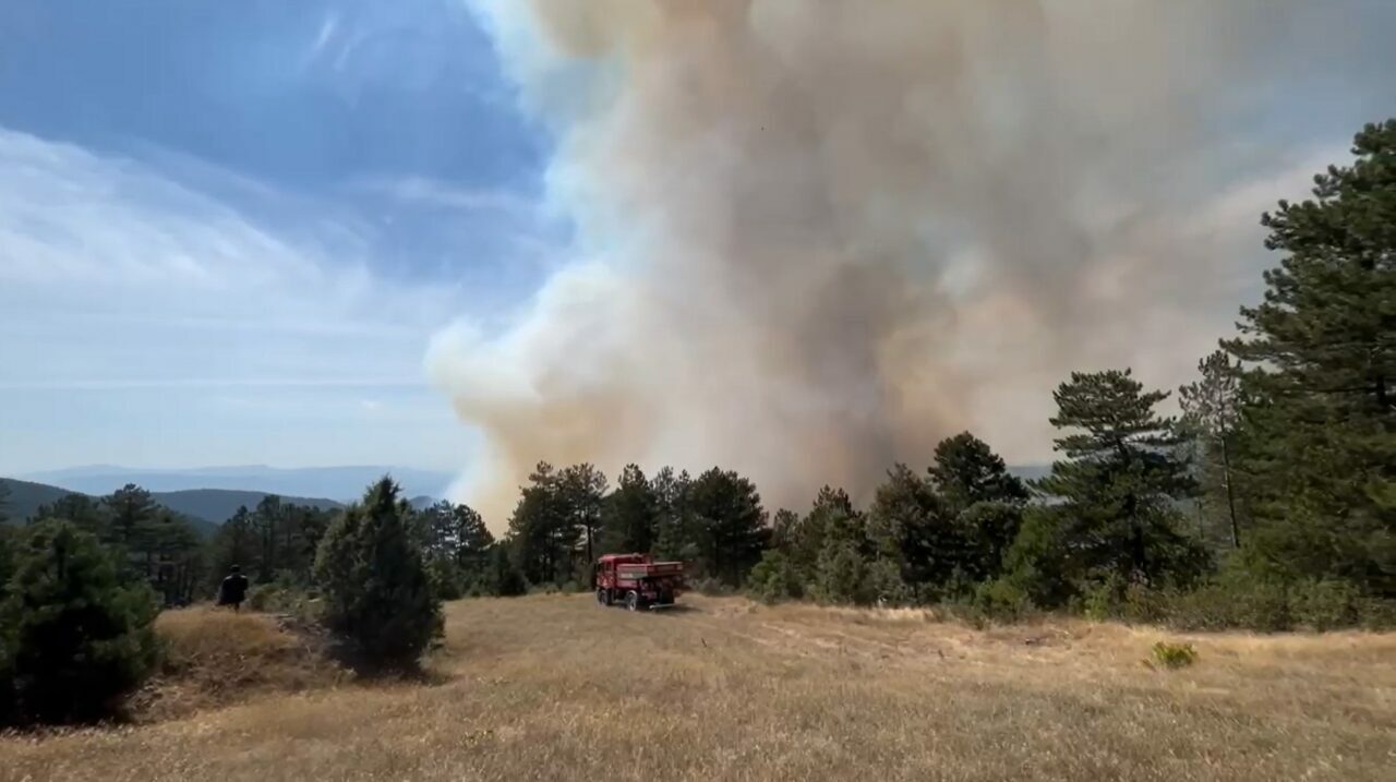 Bursa’da orman yangını! Kontrol altına alındı