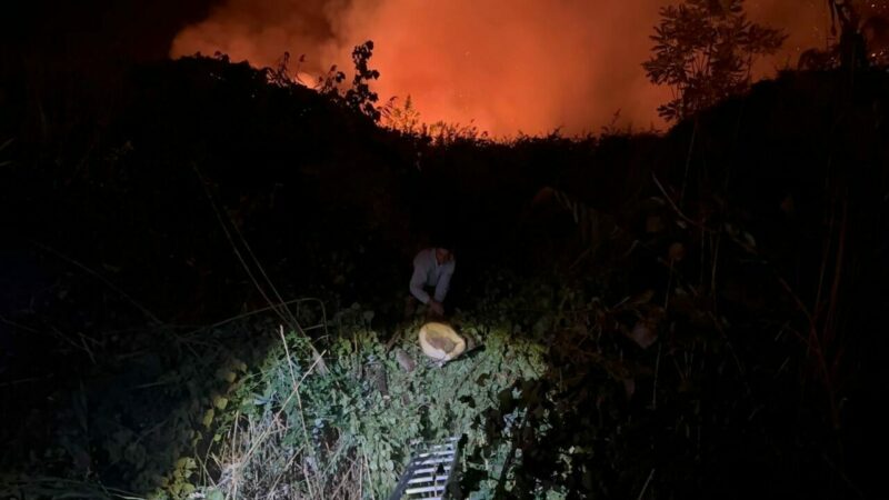 Bursa'nın İznik ilçesinde sazlık alanda çıkan yangın, itfaiye ekiplerinin 4
