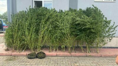 Bursa’da uyuşturucu operasyonu