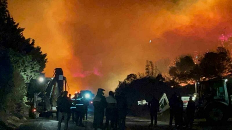 Bursa’nın Karacabey ilçesinde çıkarak rüzgarın etkisiyle geniş alana yayılan orman