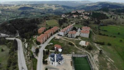 Bursa’nın o ilçesinde ‘yavru ayı’ uyarısı