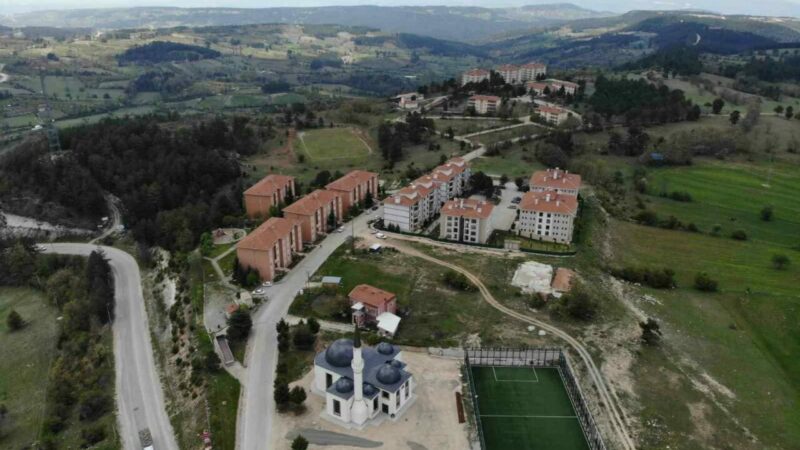 Bursa’da bir site bahçesinde yavru ayılar görülmesi üzerine yönetim, site
