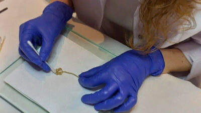 Çanakkale’de bulundu! Dünyada sadece 3 tane var