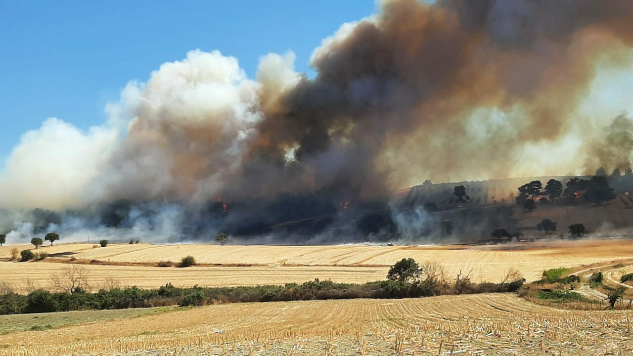 Çanakkale’de orman yangını Çanakkale’de orman yangını