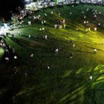 Bursa’da görkemli düğün