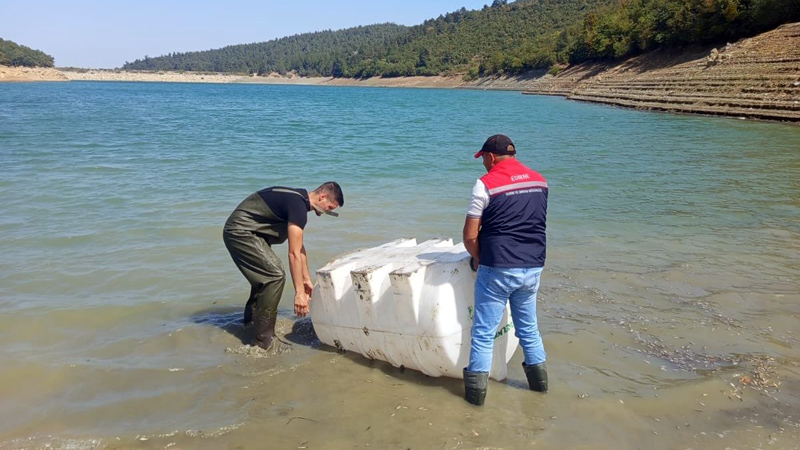 Bursa’nın sularına 2 milyon balık daha!