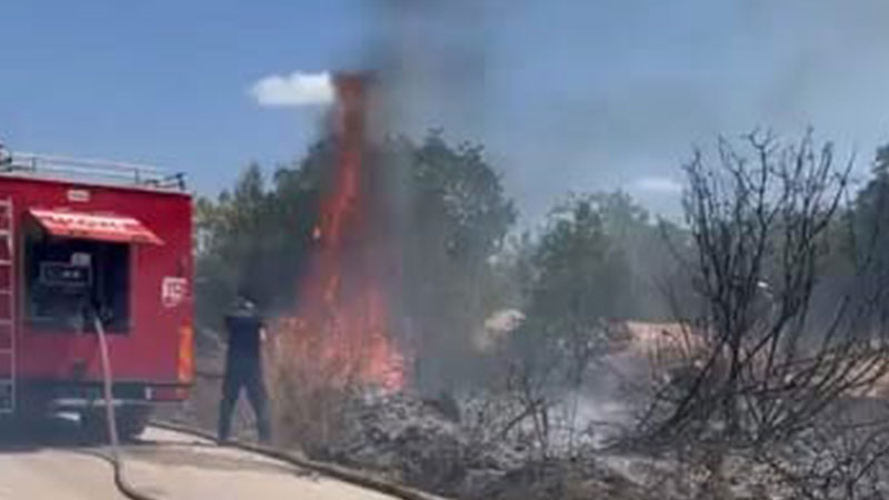 Bursa’da korkutan yangın