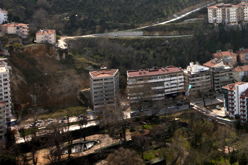 Bursa’da Çekirge, Mudanya ve Gemlik’e ciddi uyarı; ‘Hemen yetkililere başvurun’