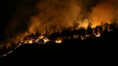 3 ilde orman yangınlarıyla mücadele: 5 kişi gözaltına alındı