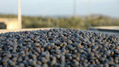 Bursa’nın dünyaca ünlü marka ürünü için önemli öneri