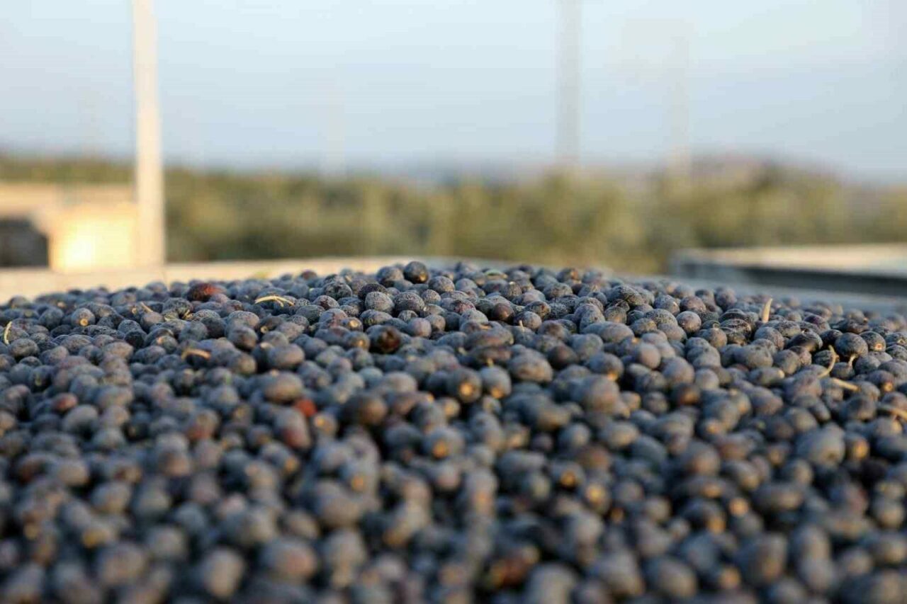 Bursa’nın dünyaca ünlü marka ürünü için önemli öneri